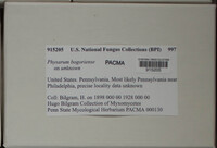 Image Associated With the Occurence